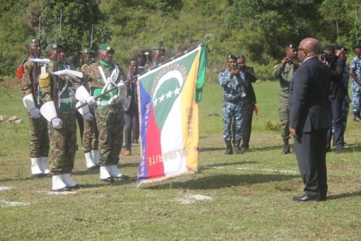 armee-nationale-de-developpement